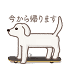 【犬.イヌ.いぬ】まるまる！マルックス 敬語（個別スタンプ：35）