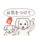 【犬.イヌ.いぬ】まるまる！マルックス 敬語（個別スタンプ：40）