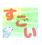 セキセイインコ デカ文字2（個別スタンプ：3）