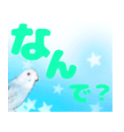 セキセイインコ デカ文字2（個別スタンプ：7）