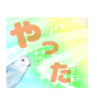 セキセイインコ デカ文字2（個別スタンプ：8）