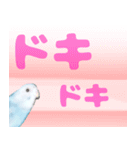 セキセイインコ デカ文字2（個別スタンプ：10）