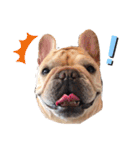 フレブルふぁむち3（個別スタンプ：5）