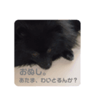 くーちゃんpart 2（個別スタンプ：7）