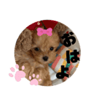 ♥Michelle♥（個別スタンプ：1）