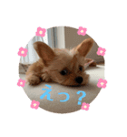 ♥Michelle♥（個別スタンプ：3）