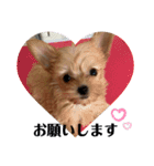 ♥Michelle♥（個別スタンプ：5）
