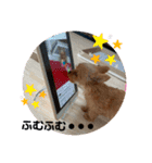♥Michelle♥（個別スタンプ：8）
