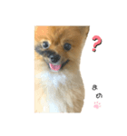 まめから大豆になるまで（個別スタンプ：3）