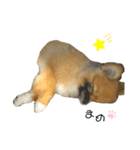 まめから大豆になるまで（個別スタンプ：8）