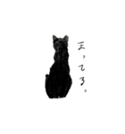 ネコのにゃあ（個別スタンプ：3）