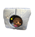 ロコとベニ（個別スタンプ：7）
