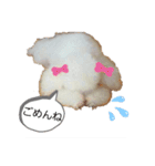 わんころ スタンプ（個別スタンプ：2）