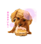 Rokos（個別スタンプ：2）
