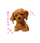 Rokos（個別スタンプ：3）