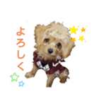 Rokos（個別スタンプ：7）