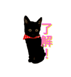 ねこししょう（個別スタンプ：8）