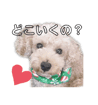 マーティーの生活（個別スタンプ：3）