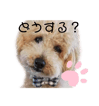 マーティーの生活（個別スタンプ：4）