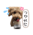 マーティーの生活（個別スタンプ：6）