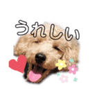 マーティーの生活（個別スタンプ：7）
