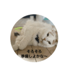 売れるんやファミリー（個別スタンプ：3）