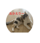 売れるんやファミリー（個別スタンプ：6）