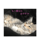売れるんやファミリー（個別スタンプ：7）