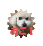 m#m2（個別スタンプ：1）