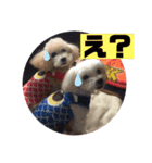 m#m2（個別スタンプ：3）
