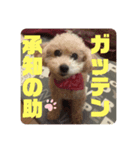 m#m2（個別スタンプ：4）