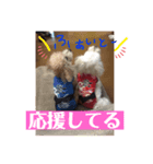 m#m2（個別スタンプ：5）