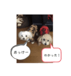 m#m2（個別スタンプ：7）