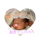 らっこ©️スタンプ（個別スタンプ：7）