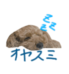 癒しのモコ太さん（個別スタンプ：2）