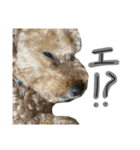 癒しのモコ太さん（個別スタンプ：5）