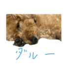 癒しのモコ太さん（個別スタンプ：7）