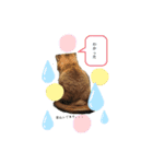 あんずねぇ〜さんの日常（個別スタンプ：1）