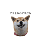 うちのまめふじ（個別スタンプ：7）
