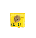 ハムスターのるびーさん 1（個別スタンプ：13）