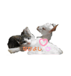 ヤギが好き（個別スタンプ：16）