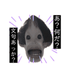 大野familystamp第三弾（個別スタンプ：15）