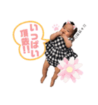 大野familystamp第三弾（個別スタンプ：35）