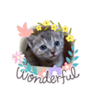 子猫の日常会話③（個別スタンプ：30）