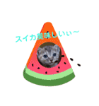 子猫の日常会話③（個別スタンプ：31）