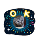 子猫の日常会話③（個別スタンプ：32）