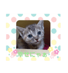 子猫の日常会話③（個別スタンプ：39）