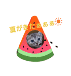 子猫の日常会話③（個別スタンプ：40）