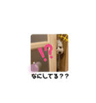 ショコラくん。（個別スタンプ：3）