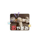 ショコラくん。（個別スタンプ：4）